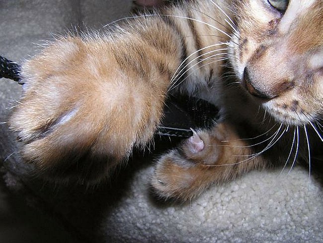 Lance and the camera